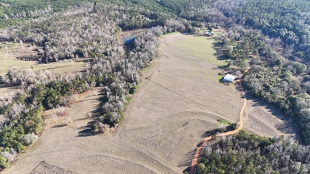 129 Acre Recreational Property for Sale in Clarke County, AL - image 6