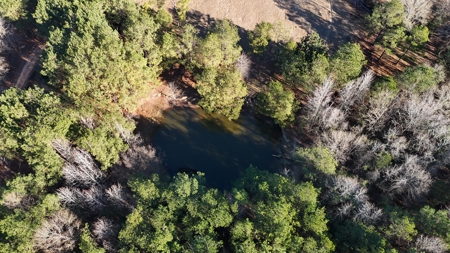 129 Acre Recreational Property for Sale in Clarke County, AL - image 8