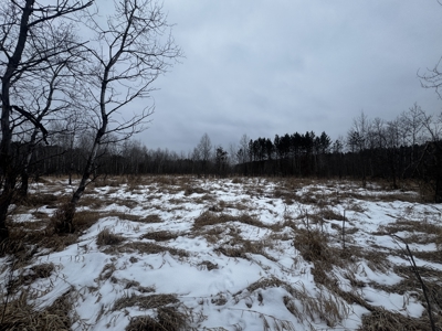 81.64± Acre Parcel in the Town of Clearfield, Juneau County - image 35