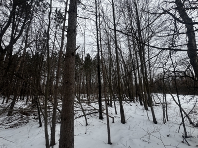81.64± Acre Parcel in the Town of Clearfield, Juneau County - image 33