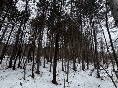 81.64± Acre Parcel in the Town of Clearfield, Juneau County - image 37