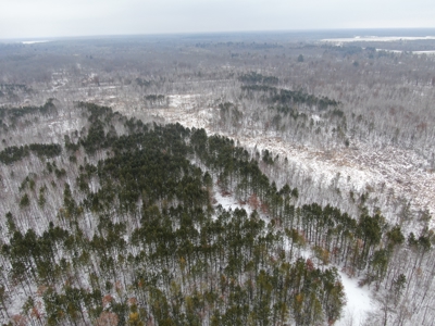 81.64± Acre Parcel in the Town of Clearfield, Juneau County - image 30