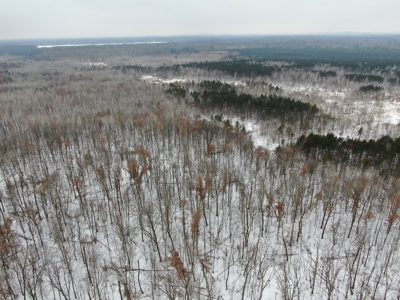 81.64± Acre Parcel in the Town of Clearfield, Juneau County - image 2