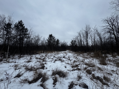 81.64± Acre Parcel in the Town of Clearfield, Juneau County - image 41