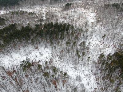 81.64± Acre Parcel in the Town of Clearfield, Juneau County - image 8