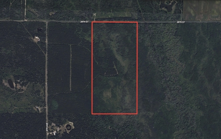 81.64± Acre Parcel in the Town of Clearfield, Juneau County - image 3