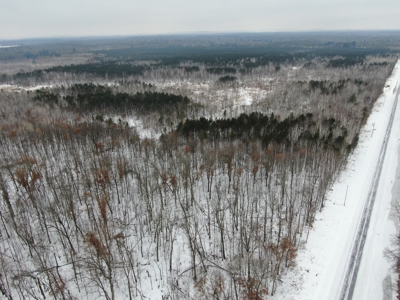 81.64± Acre Parcel in the Town of Clearfield, Juneau County - image 1