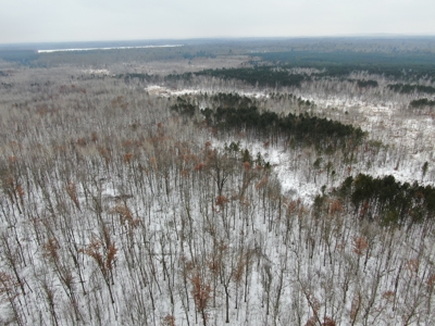 81.64± Acre Parcel in the Town of Clearfield, Juneau County - image 4