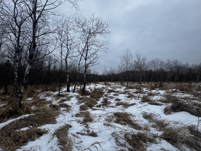 81.64± Acre Parcel in the Town of Clearfield, Juneau County - image 36