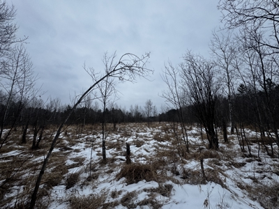 81.64± Acre Parcel in the Town of Clearfield, Juneau County - image 23