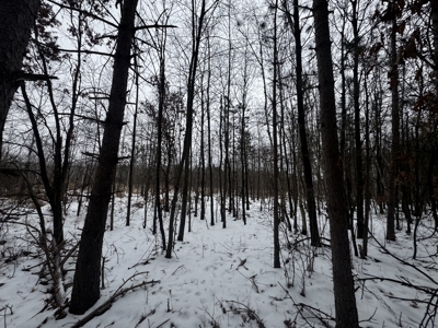 81.64± Acre Parcel in the Town of Clearfield, Juneau County - image 38