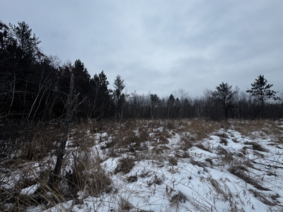 81.64± Acre Parcel in the Town of Clearfield, Juneau County - image 19