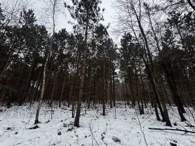 81.64± Acre Parcel in the Town of Clearfield, Juneau County - image 21