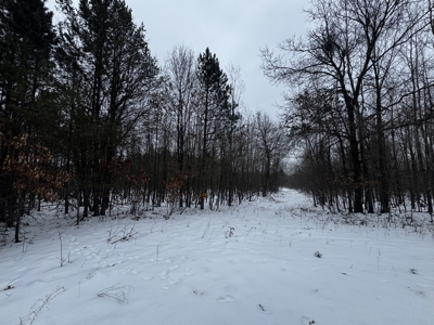 81.64± Acre Parcel in the Town of Clearfield, Juneau County - image 11
