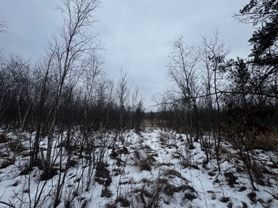 81.64± Acre Parcel in the Town of Clearfield, Juneau County - image 42