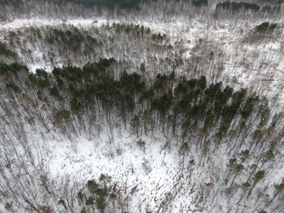 81.64± Acre Parcel in the Town of Clearfield, Juneau County - image 10