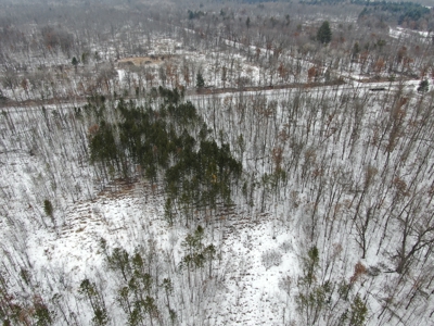 81.64± Acre Parcel in the Town of Clearfield, Juneau County - image 14
