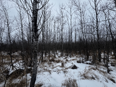 81.64± Acre Parcel in the Town of Clearfield, Juneau County - image 17