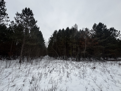 81.64± Acre Parcel in the Town of Clearfield, Juneau County - image 40