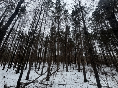 81.64± Acre Parcel in the Town of Clearfield, Juneau County - image 34