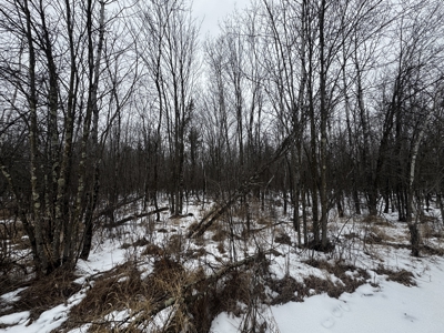 81.54± acre parcel in the Town of Clearfield, Juneau County - image 10