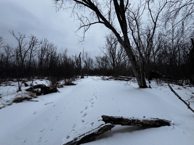 81.54± acre parcel in the Town of Clearfield, Juneau County - image 42