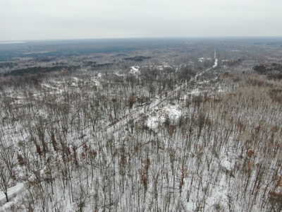81.54± acre parcel in the Town of Clearfield, Juneau County - image 1