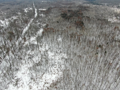 81.54± acre parcel in the Town of Clearfield, Juneau County - image 14