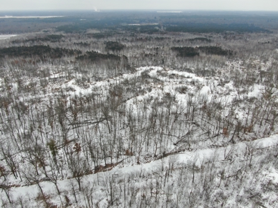 81.54± acre parcel in the Town of Clearfield, Juneau County - image 4