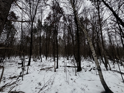 81.54± acre parcel in the Town of Clearfield, Juneau County - image 31