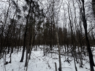 81.54± acre parcel in the Town of Clearfield, Juneau County - image 6