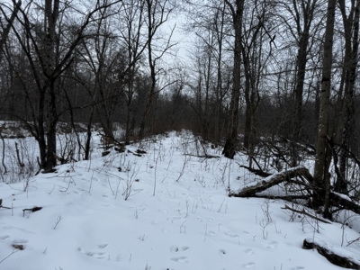 81.54± acre parcel in the Town of Clearfield, Juneau County - image 19