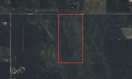 81.54± acre parcel in the Town of Clearfield, Juneau County - image 3