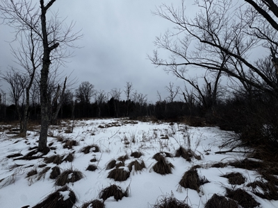 81.54± acre parcel in the Town of Clearfield, Juneau County - image 37