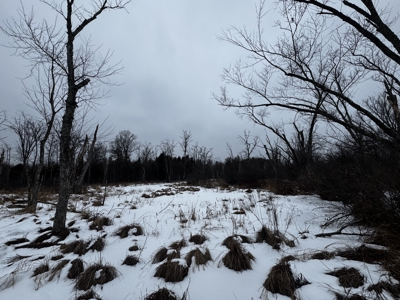 81.54± acre parcel in the Town of Clearfield, Juneau County - image 38