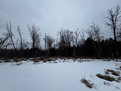 81.54± acre parcel in the Town of Clearfield, Juneau County - image 39