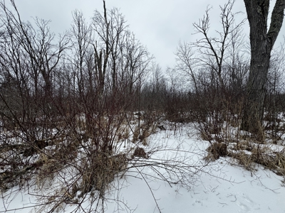 81.54± acre parcel in the Town of Clearfield, Juneau County - image 23