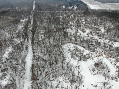 81.54± acre parcel in the Town of Clearfield, Juneau County - image 5