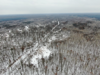 81.54± acre parcel in the Town of Clearfield, Juneau County - image 13