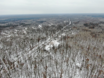 81.54± acre parcel in the Town of Clearfield, Juneau County - image 2
