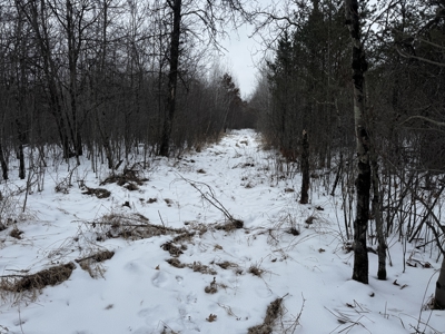 81.54± acre parcel in the Town of Clearfield, Juneau County - image 34