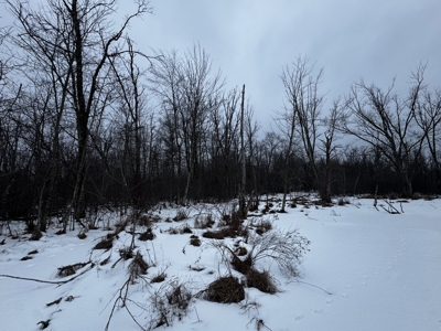 81.54± acre parcel in the Town of Clearfield, Juneau County - image 44