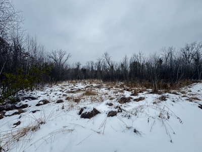 81.54± acre parcel in the Town of Clearfield, Juneau County - image 35