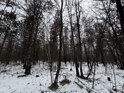 81.54± acre parcel in the Town of Clearfield, Juneau County - image 11
