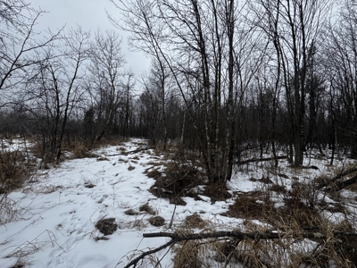 81.54± acre parcel in the Town of Clearfield, Juneau County - image 33