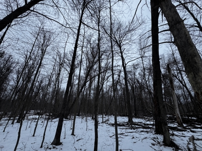 81.54± acre parcel in the Town of Clearfield, Juneau County - image 16