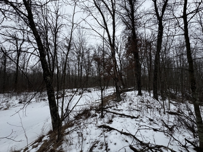 81.54± acre parcel in the Town of Clearfield, Juneau County - image 17