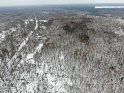 81.54± acre parcel in the Town of Clearfield, Juneau County - image 15