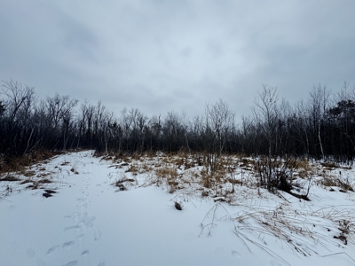 81.54± acre parcel in the Town of Clearfield, Juneau County - image 36