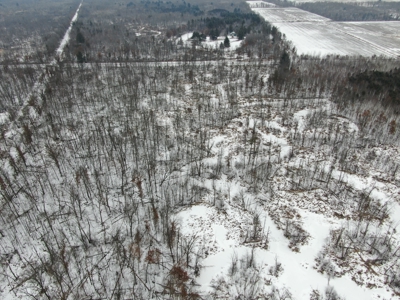81.54± acre parcel in the Town of Clearfield, Juneau County - image 27